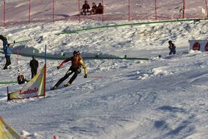 PALLER TATJANA GER nr 4-0843-2024-03-02.jpg