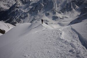 Schnabelkar 5511 2012-03-20.jpg