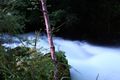 Talbachklamm nacht 65644 2014-06-16.jpg