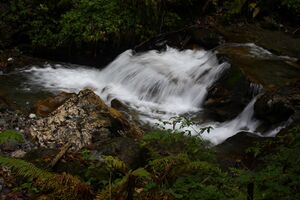 Teufelsschlucht Seewigtal 73345 2014-10-02.jpg