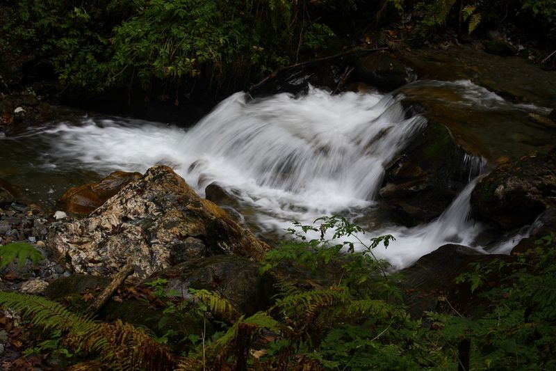 Datei:Teufelsschlucht Seewigtal 73345 2014-10-02.jpg