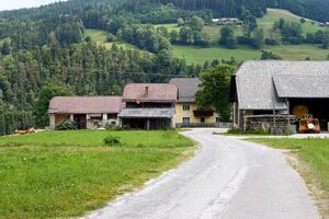 Vlg koaser schattenberg-0875-2023-06-16.jpg