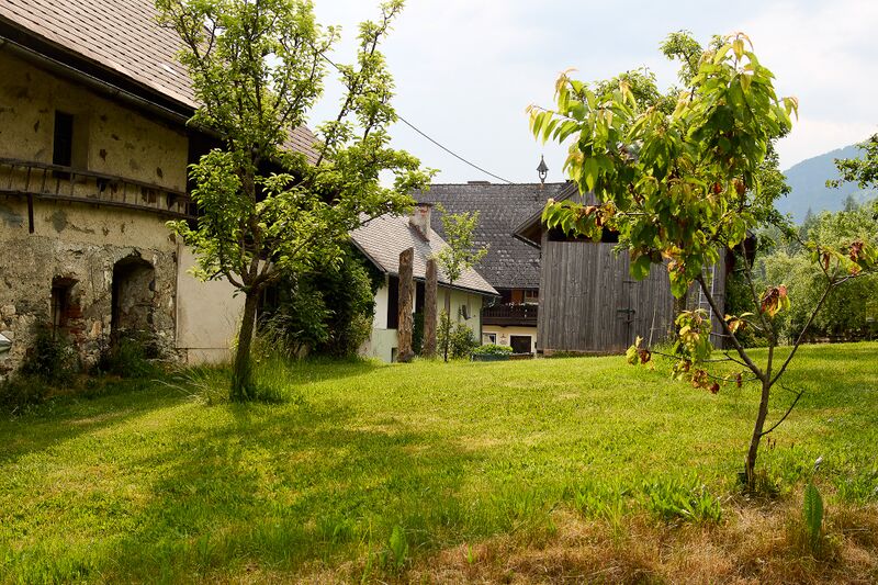 Datei:Vlg mojer wieden 4-1000-2023-06-16-3.jpg