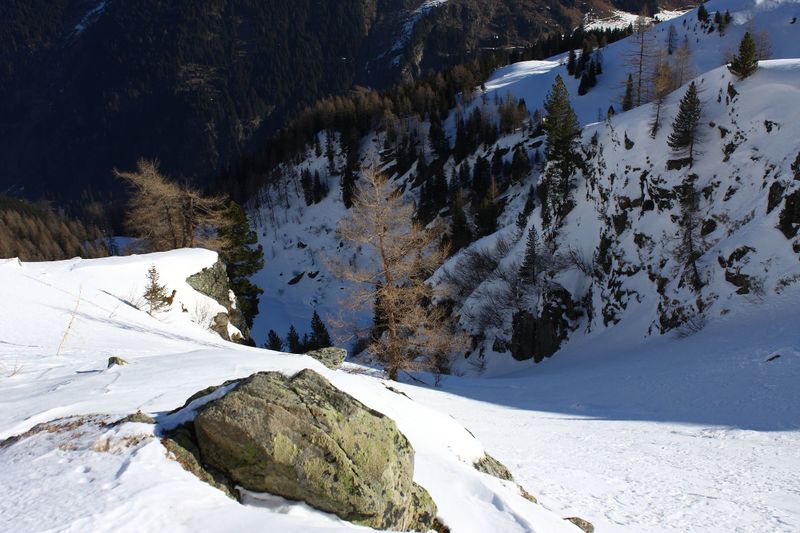 Datei:Wildkar 45004 2014-03-09.jpg