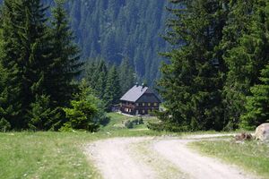 Beireutalm 90177 2015-06-08.jpg