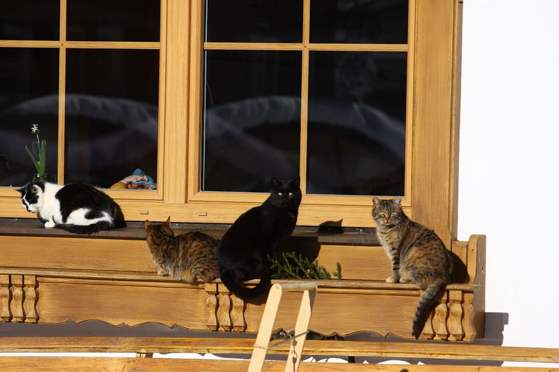 Datei:Blasbichlerhof ramsau 17205 2016-01-18.jpg