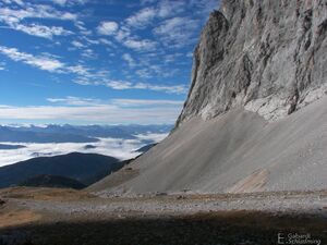 Edelgrieß100 9901.jpg