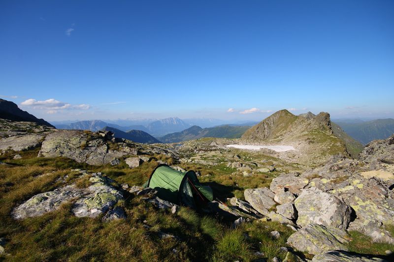 Datei:Goldlacken 0403 2008-08-12.jpg