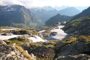 Goldlacken 0438 2008-08-12.jpg