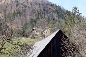 Grabenbauer Bichl -0377-2025-03-21.jpg