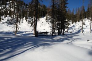 Große wiesmahd 97969 2015-01-13.jpg