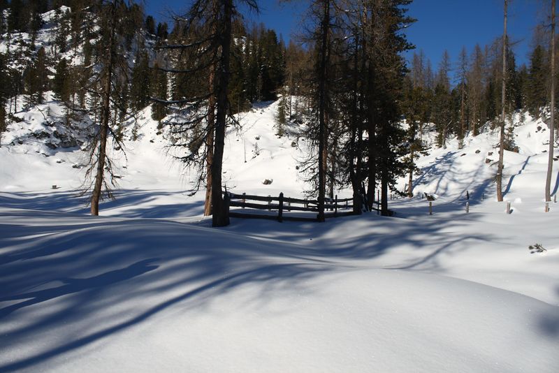 Datei:Große wiesmahd 97969 2015-01-13.jpg