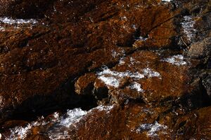 Kühkar 35325 2016-11-01.jpg