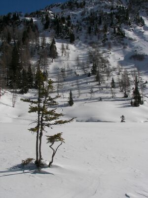 Neualm obertal 48085 2007-02-05.jpg