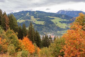 P Anthropogen PlanaiSki 02.jpg