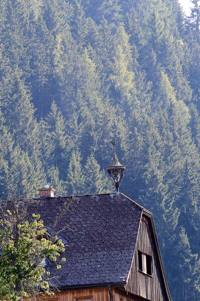 Datei:Perberhof michaelerberg Ost 38-0042-2023-08-14.jpg