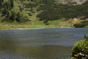 Plannersee 65290 2014-06-26.jpg