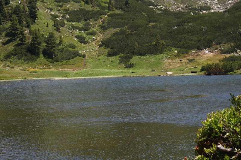 Datei:Plannersee 65290 2014-06-26.jpg