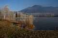 Putterersee - winter 17085 2013-12-23.jpg