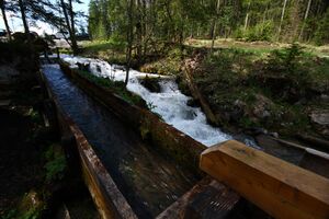 Ramsaubach 7779 2013-05-03.jpg