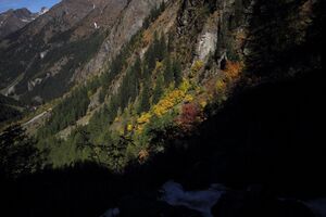 Rauenberg -steinriesental 59505 2017-10-02.jpg