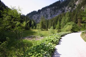 Seeboden öfen 97280 2015-07-16.jpg