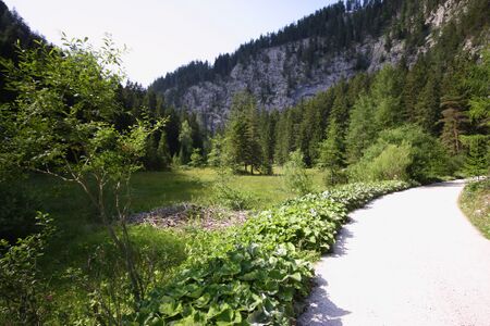 Seeboden öfen 97280 2015-07-16.jpg