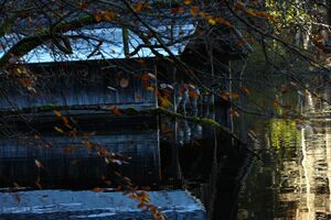 Toplitzsee 78153 2014-11-03.jpg