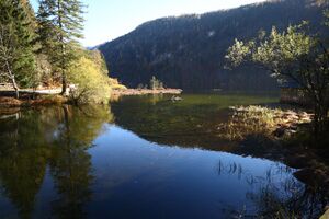 Toplitzsee 78159 2014-11-03.jpg