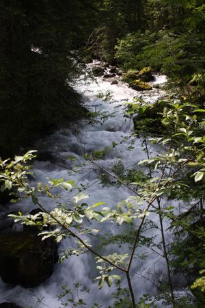 Untertalbach 2159 2009-05-29.jpg