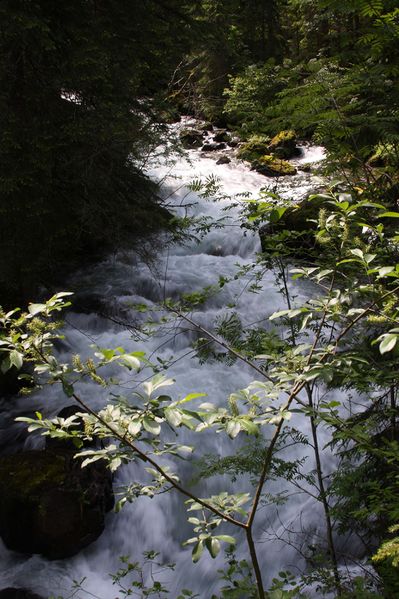 Datei:Untertalbach 2159 2009-05-29.jpg
