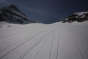 Vockenkar 66878 2012-04-18.jpg