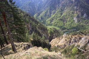 Wasserlochklamm palfau 70460 2018-04-23.jpg