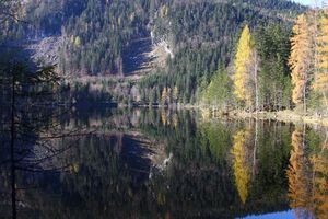 Ödensee 78071 2014-11-03.jpg