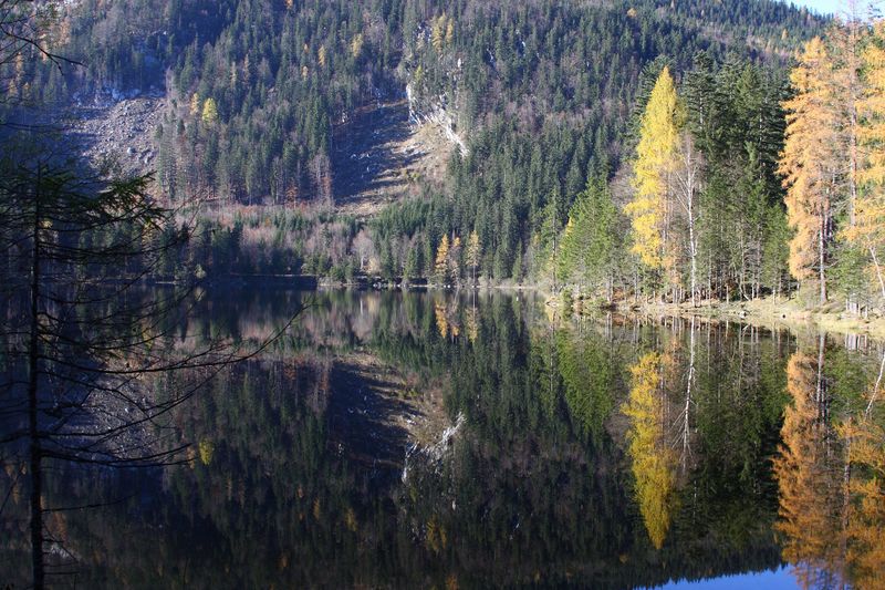 Datei:Ödensee 78071 2014-11-03.jpg