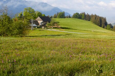 BH schlagerbauer-0268-2022-05-18.jpg