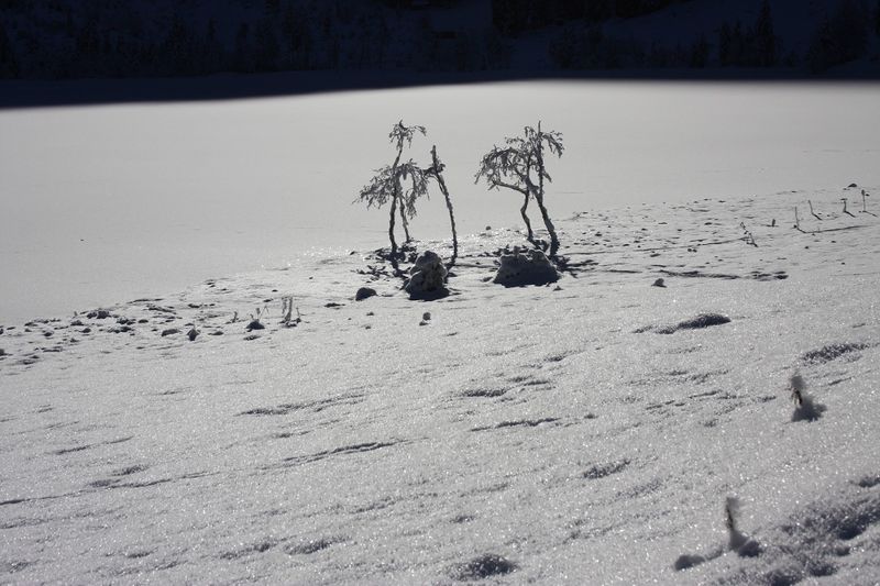 Datei:Bodensee 26637 2014-01-01.jpg