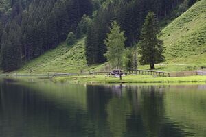 Bodensee seewigtal 63420 2014-06-21.jpg