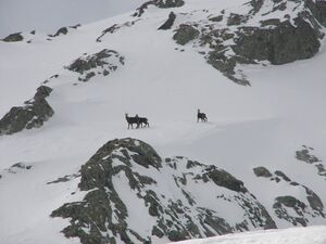 Duisitzkar 3922 2007-03-30.jpg