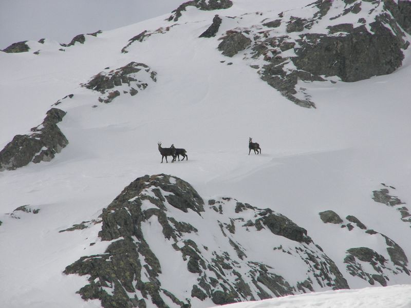 Datei:Duisitzkar 3922 2007-03-30.jpg