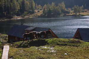 Duisitzkarsee 74164 2014-10-06.jpg