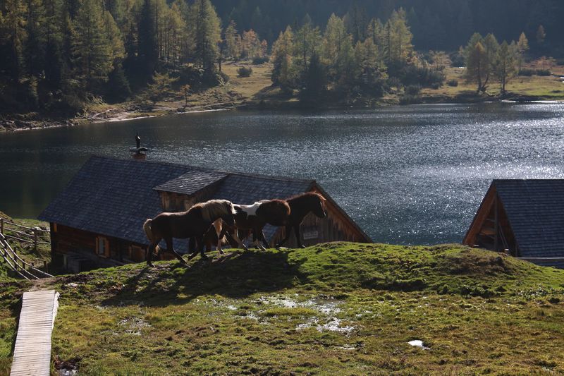 Datei:Duisitzkarsee 74164 2014-10-06.jpg