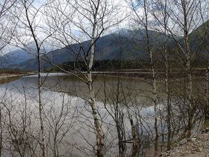 Frauenberger Torfstich070310.JPG