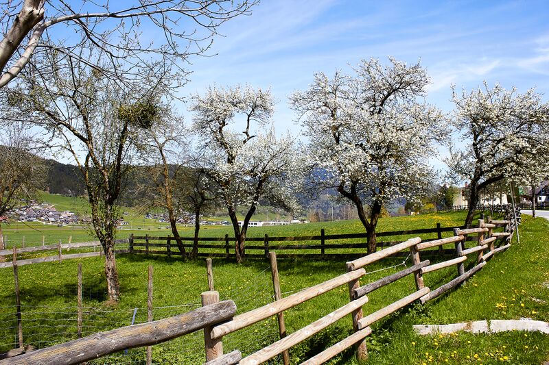 Datei:Gaisberger vlg. Pfeifer lassing-300418-2023-05-04.jpg