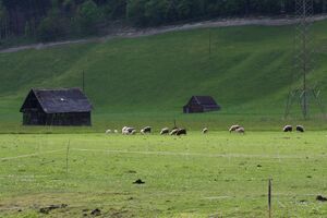 Heustadel moosheim 56011 2014-05-02.jpg