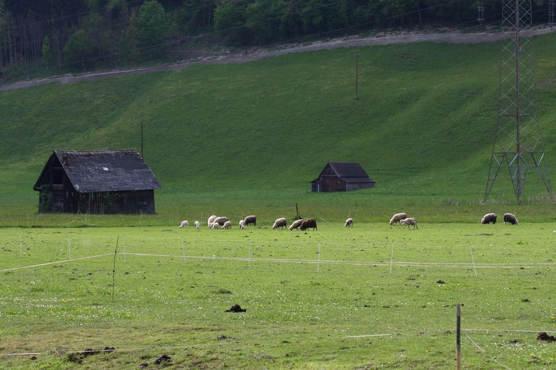 Datei:Heustadel moosheim 56011 2014-05-02.jpg