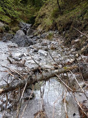 Humlechnergraben 54614 2014-04-27.JPG