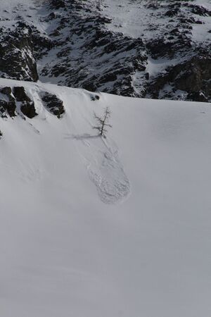 Innere alm 3076 2009-03-22.jpg