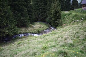 Knallbach knallalm 55601 2016-08-17.jpg