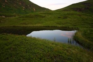 Krottenseen 1732 13-08-05.jpg